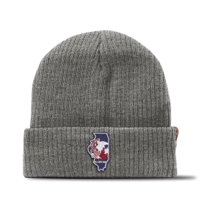 Prairie State Patriot Line Basic Beanie